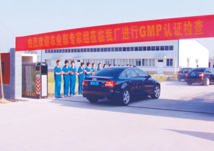 GMP检查验收1