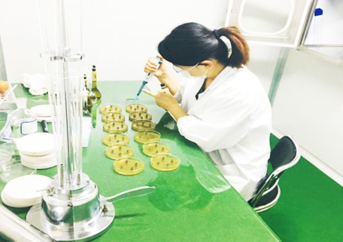 细菌培养实验室