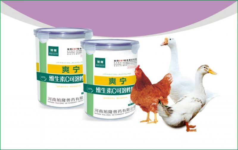 大爽宁丨维生素C可溶性粉