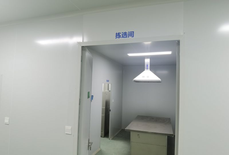 中药拣选车间
